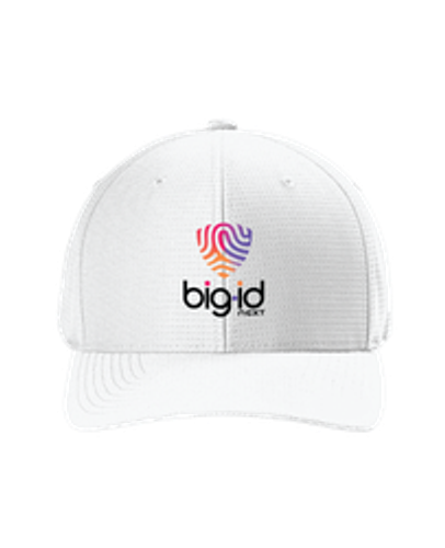 BigID Gift image thumbnail