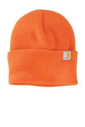 Carhartt Watch Hat 2.0  image thumbnail