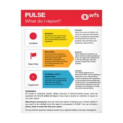 Image of EN Pulse - What do I Report? - Poster