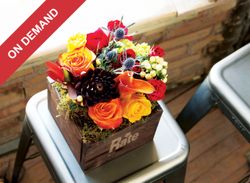Image of Farmhouse Fleur - One Size