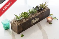 Image of Giselle Succulent Trough - One Size