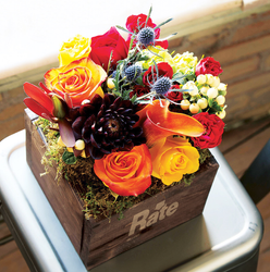Image of Farmhouse Fleur - One Size