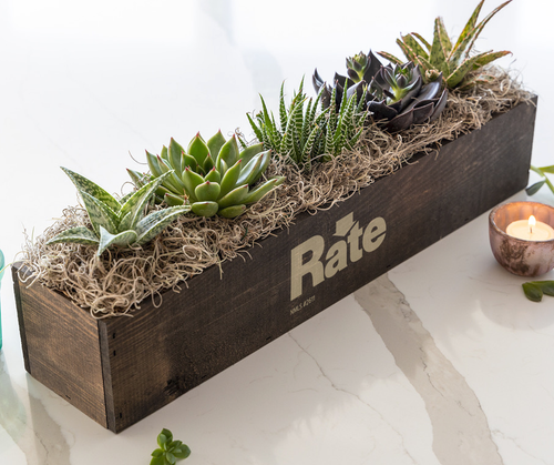 Giselle Succulent Trough - One Size image thumbnail