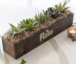 Image of Giselle Succulent Trough - One Size