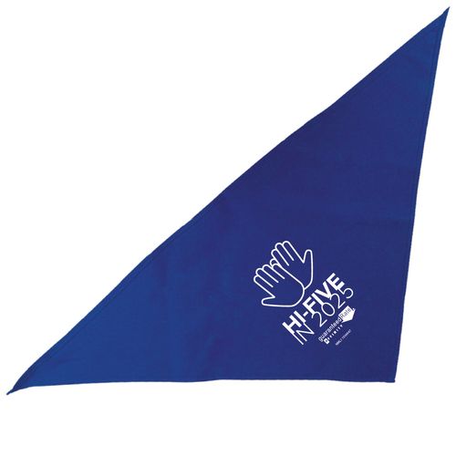 Large Triangle Bandana image thumbnail