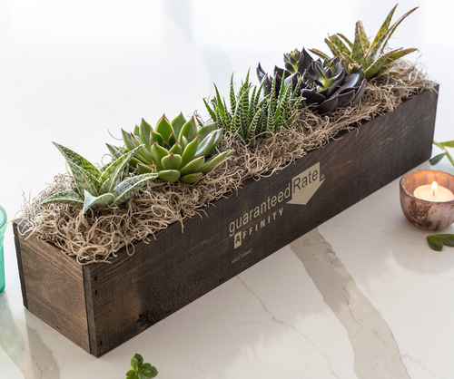 Giselle Succulent Trough - One Size image thumbnail