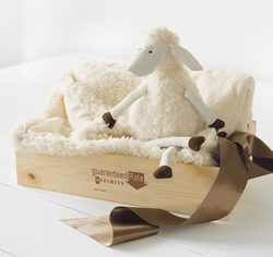 Image of Lulu Lam & Blankie - One Size