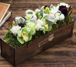 Image of Bianca Grace - One Size