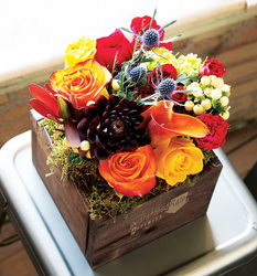 Image of Farmhouse Fleur - One Size