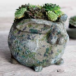 Image of Succulent Bunny