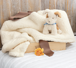 Image of Patches Puppy & Blankie