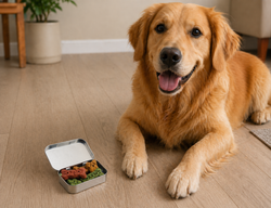 Image of Dog Bones in Large Tin