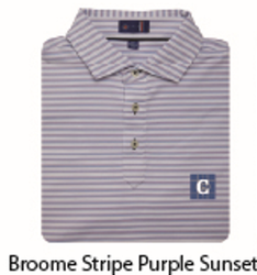 Image of STITCH Broome Stripe Men's Polo - Purple Sunset