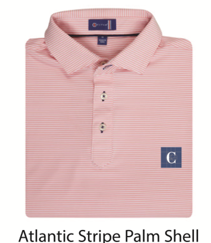 STITCH Atlantic Stripe Men's Polo - Palm Shell primary image