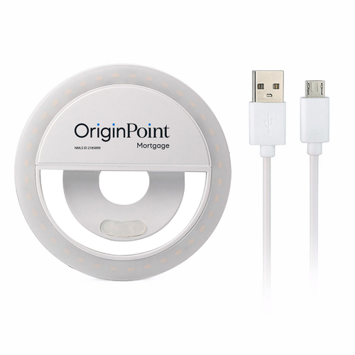 Online Meeting Adjustable Vanity Light image thumbnail