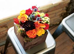 Image of Farmhouse Fleur - One Size