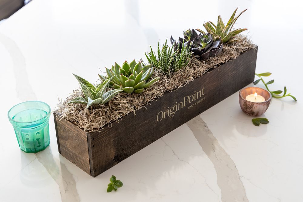 Giselle Succulent Trough - One Size primary image