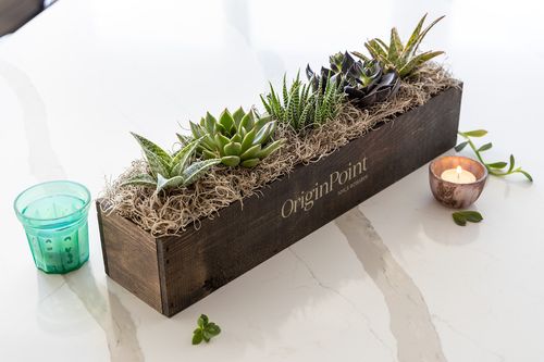 Giselle Succulent Trough - One Size image thumbnail