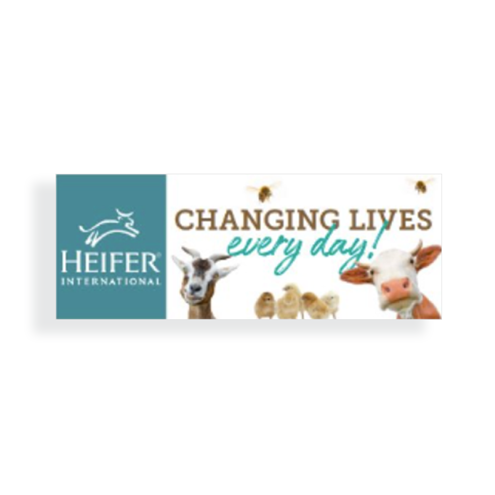 Heifer Bumper Stickers primary image