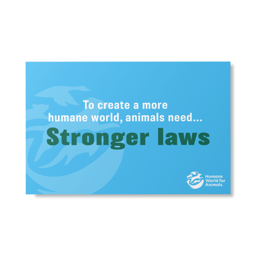Humane World - Animals Need Sign image thumbnail