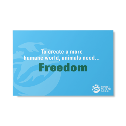 Humane World - Animals Need Sign image thumbnail
