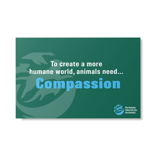 Humane World - Animals Need Sign image thumbnail