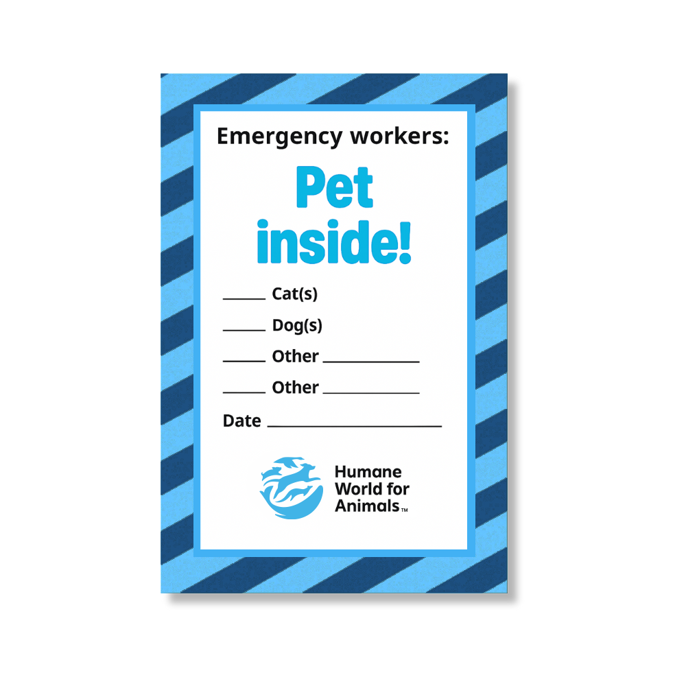 Humane World - "Pets Inside" Window Cling primary image
