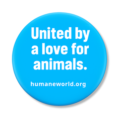 Image of Humane World - Pins