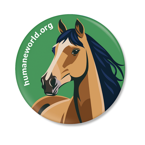 Humane World - Animal Pins image thumbnail