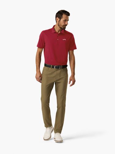 Sun Day Red Icon Polo image thumbnail Sun Day Red Icon Polo image thumbnail