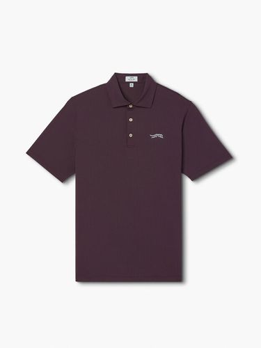 Sun Day Red Icon Polo image thumbnail Sun Day Red Icon Polo image thumbnail