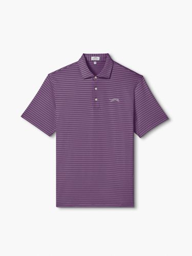 Sun Day Red Stripe Polo image thumbnail