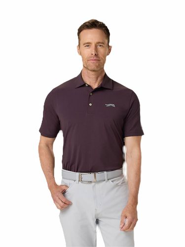 Sun Day Red Icon Polo image thumbnail Sun Day Red Icon Polo image thumbnail