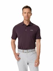 Image of Sun Day Red Icon Polo