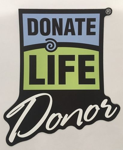 Donate Life Donor Car Magnet image thumbnail