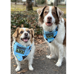 Image of Donate Life Pet Bandana