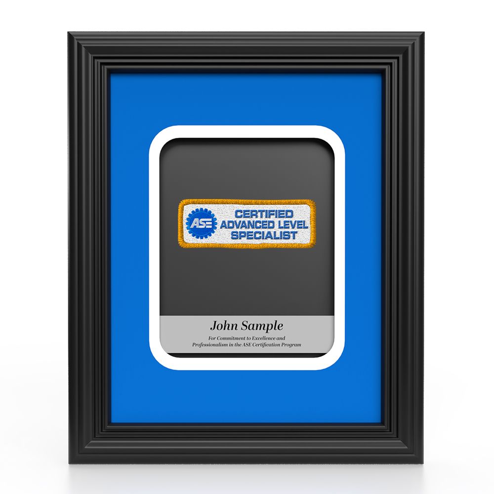 Insignia Recognition Plaque - Advanced Level Specialist primary image
