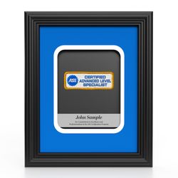 Image of Insignia Recognition Plaque - Advanced Level Specialist