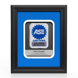 Image of Insignia Recognition Plaque - Collision Estimator