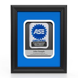 Image of Insignia Recognition Plaque - Maintenance & Light Repair
