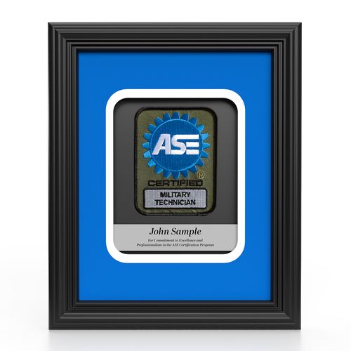Insignia Recognition Plaque - Military Technician image thumbnail
