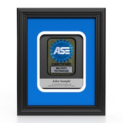 Image of Insignia Recognition Plaque - Military Technician