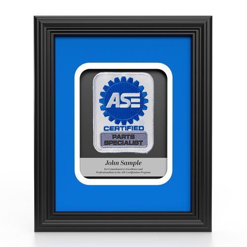 Insignia Recognition Plaque - Parts Specialist image thumbnail
