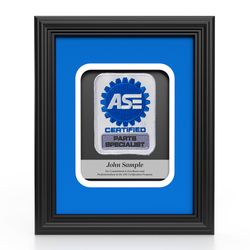 Image of Insignia Recognition Plaque - Parts Specialist