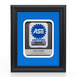 Image of Insignia Recognition Plaque - Service Consultant