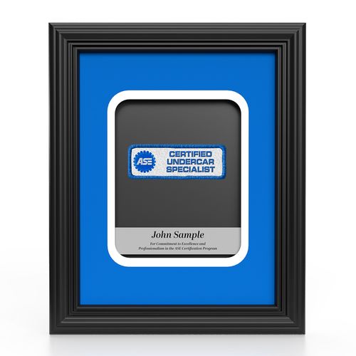 Insignia Recognition Plaque - Undercar Specialist image thumbnail
