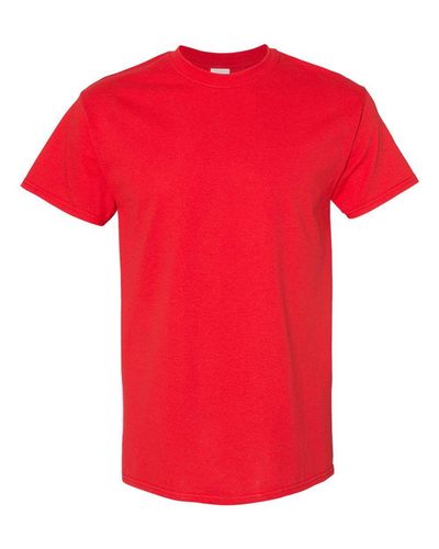 DHS Logo - Gildan Cotton Tee image thumbnail