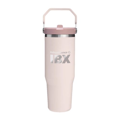 Stanley IceFlow 30 Black 2.0 image thumbnail