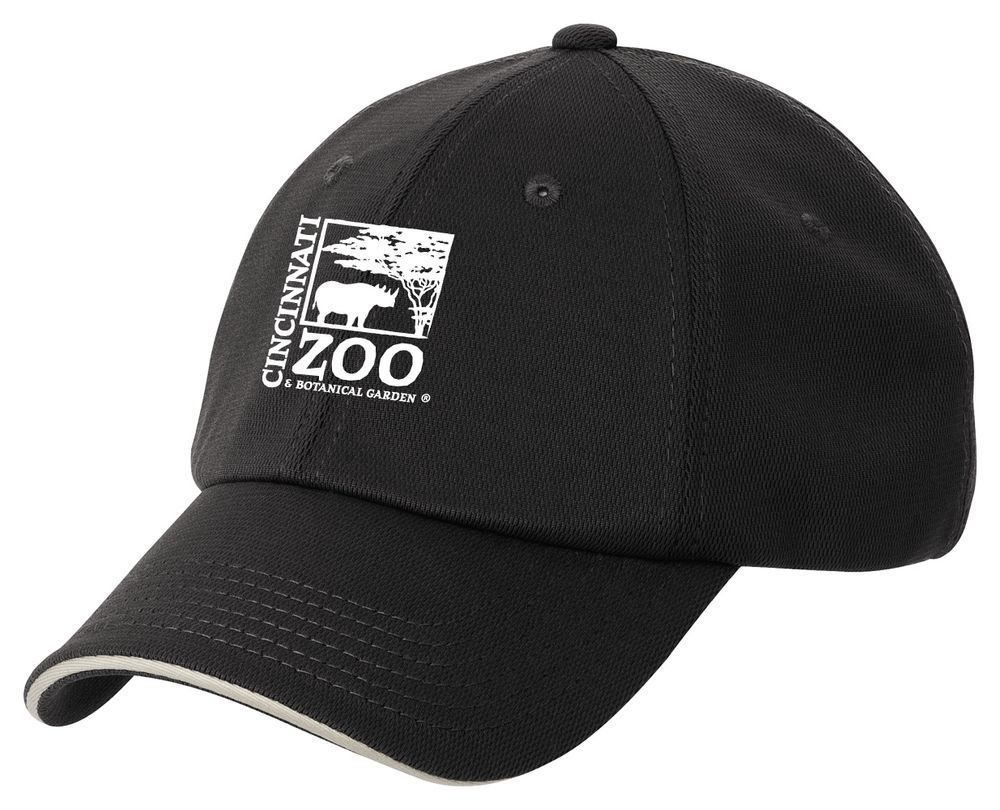 Port Authority Dry Zone Cap primary image
