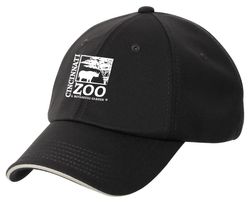 Image of Port Authority Dry Zone Cap